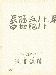 尿隐血1+,尿白细胞1+