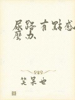 尿路有点感染怎么办