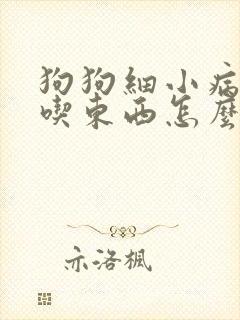 狗狗细小病毒不吃东西怎么办