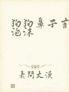 狗狗鼻子有白色泡沫