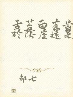 舌苔白有齿痕属于阴虚还是阳虚