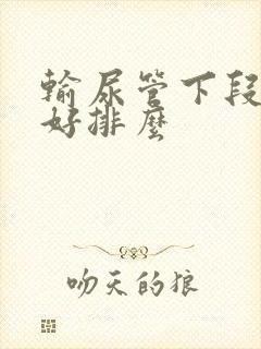 输尿管下段结石好排么