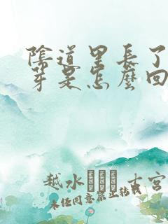 阴道里长了小肉芽是怎么回事