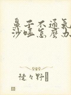 鼻子不通气声音沙哑怎么办