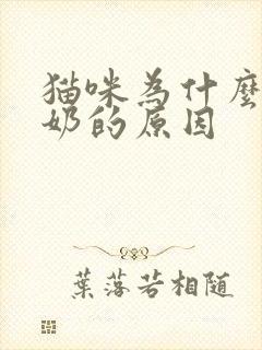 猫咪为什么爱踩奶的原因