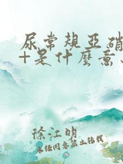 尿常规亚硝酸盐+是什么意思