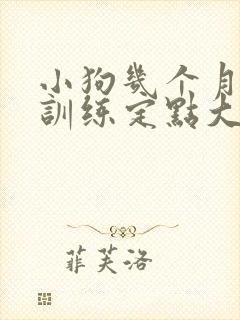 小狗几个月可以训练定点大小便