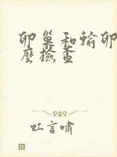 卵巢和输卵管怎么检查