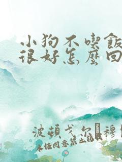 小狗不吃饭精神很好怎么回事