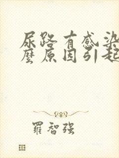 尿路有感染是什么原因引起的