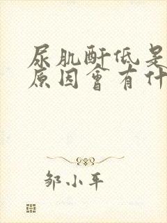 尿肌酐低是什么原因会有什么影响