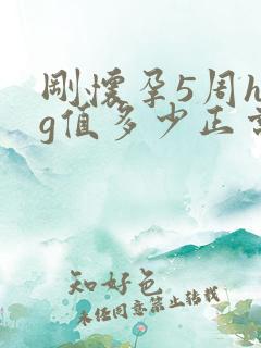 刚怀孕5周hcg值多少正常