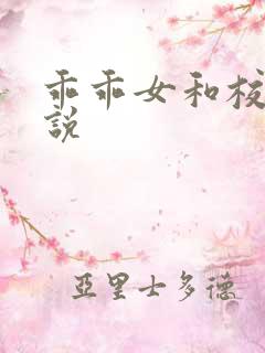 乖乖女和校霸小说