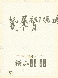 纸尿裤l码适合几个月