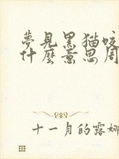 梦见黑猫咬我是什么意思周公解梦