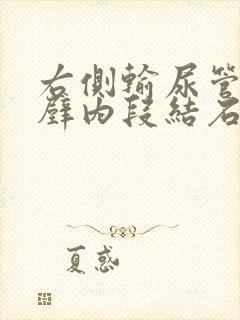 右侧输尿管膀胱壁内段结石怎么治疗