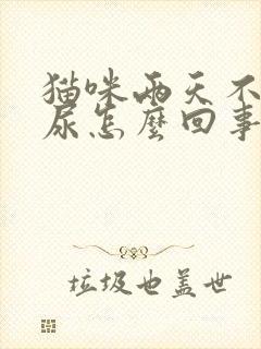 猫咪两天不拉不尿怎么回事?