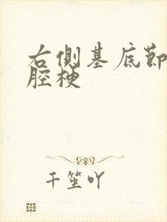 右侧基底节区脑腔梗