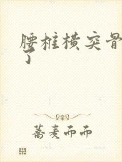 腰椎横突骨骨折了