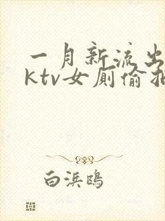 一月新流出夜会ktv女厕偷拍