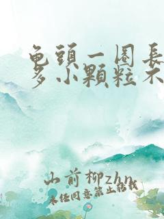 龟头一圈长了很多小颗粒不痛不痒