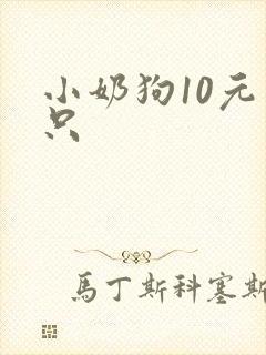 小奶狗10元一只