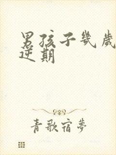 男孩子几岁有叛逆期