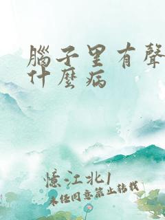 脑子里有声音是什么病