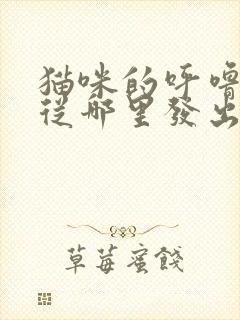 猫咪的呼噜声是从哪里发出来的