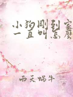 小狗刚到家晚上一直叫怎么办