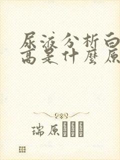 尿液分析白细胞高是什么原因