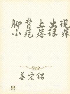 脚背上出现很多小疙瘩很痒