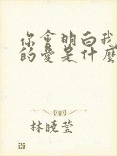 你会明白我给你的爱是什么歌