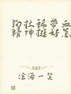 狗拉稀带血但是精神挺好怎么回事