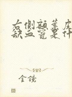 右侧额叶皮层下缺血灶是什么意思