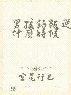 男孩的叛逆期是什么时候