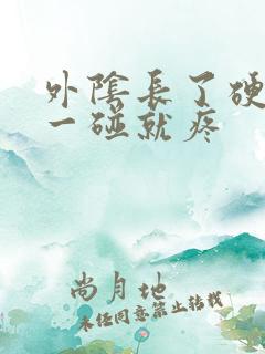 外阴长了硬疙瘩一碰就疼