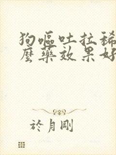 狗呕吐拉稀用什么药效果好