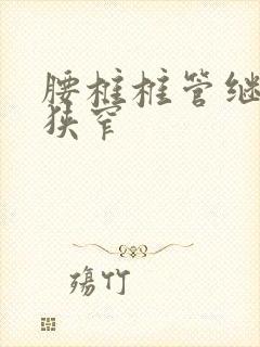 腰椎椎管继发性狭窄