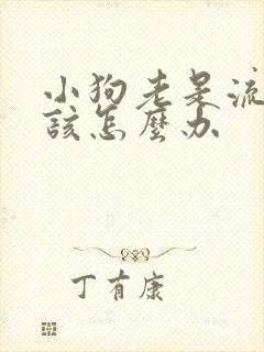 小狗老是流鼻涕该怎么办