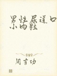 男性尿道口上有小肉粒