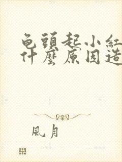 龟头起小红点是什么原因造成的