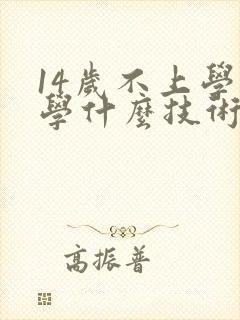 14岁不上学了学什么技术好