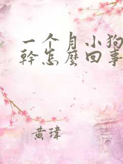 一个月小狗鼻子干怎么回事