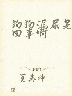 狗狗漏尿是怎么回事啊