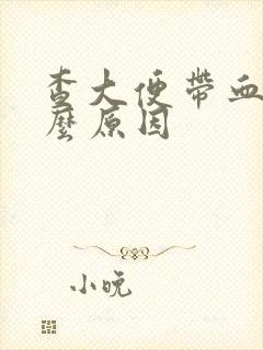 查大便带血是什么原因