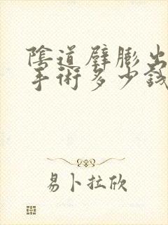 阴道壁膨出三度手术多少钱