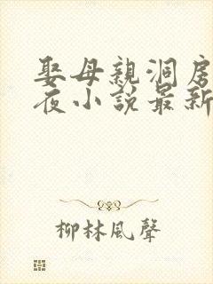 娶母亲洞房花烛夜小说最新章节更新