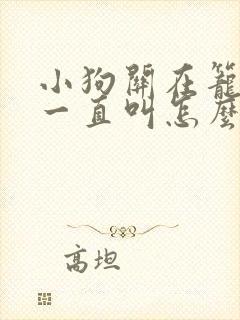 小狗关在笼子里一直叫怎么办