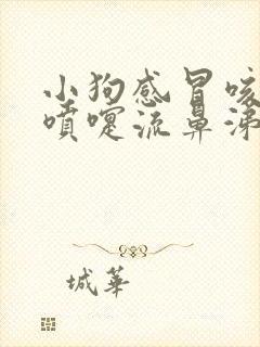 小狗感冒咳嗽打喷嚏流鼻涕怎么办